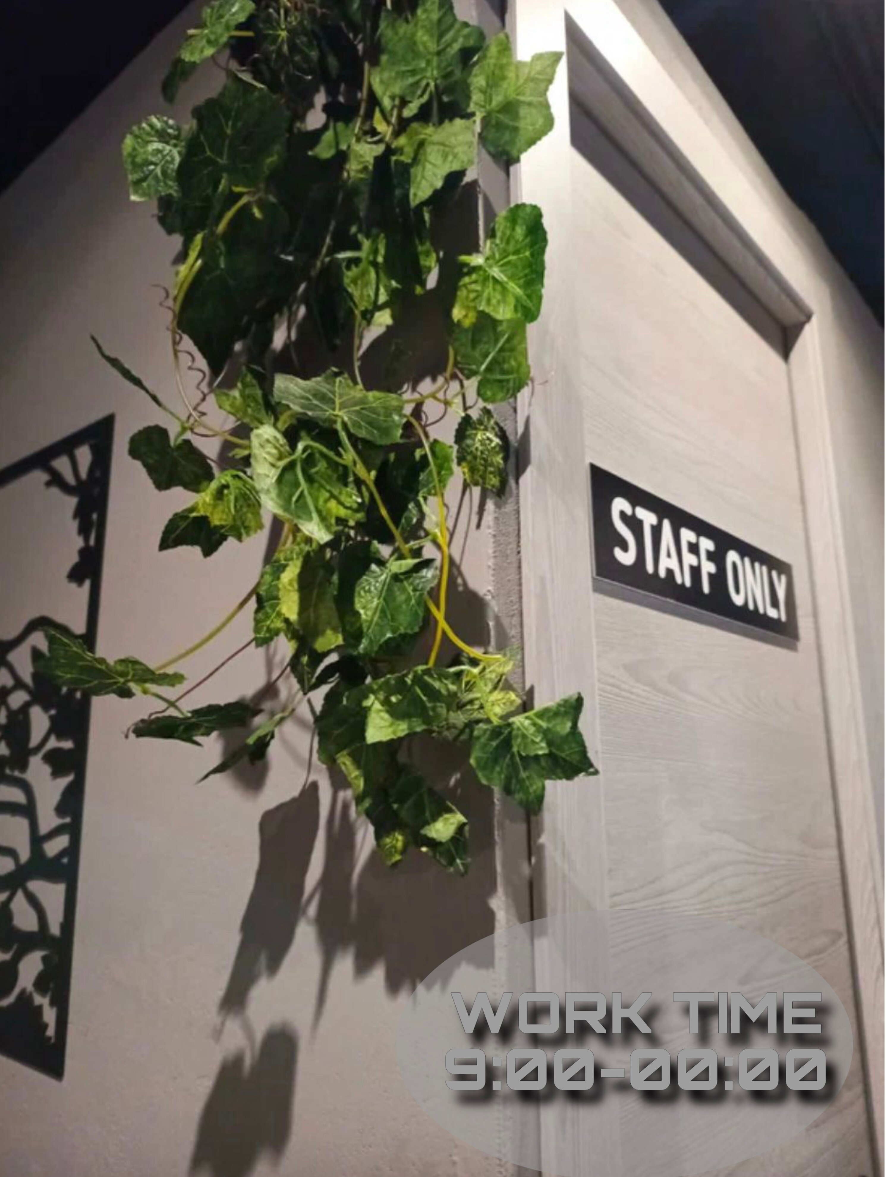 Фото Shelterz Три вокзала