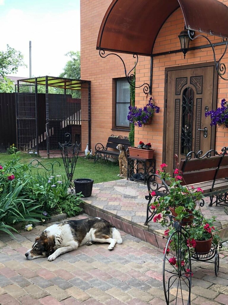 شبابيك Окна Двери Кровля Фасад ، ، صورة