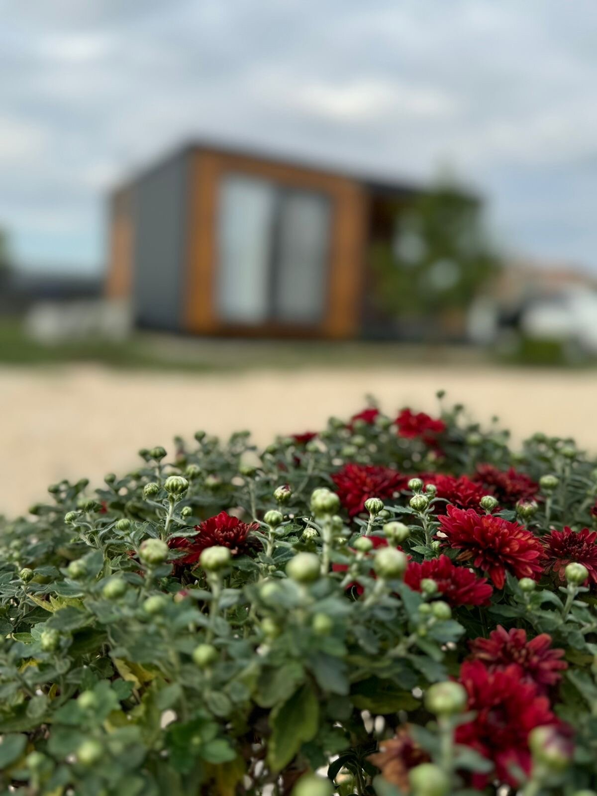 Фото Видисвет