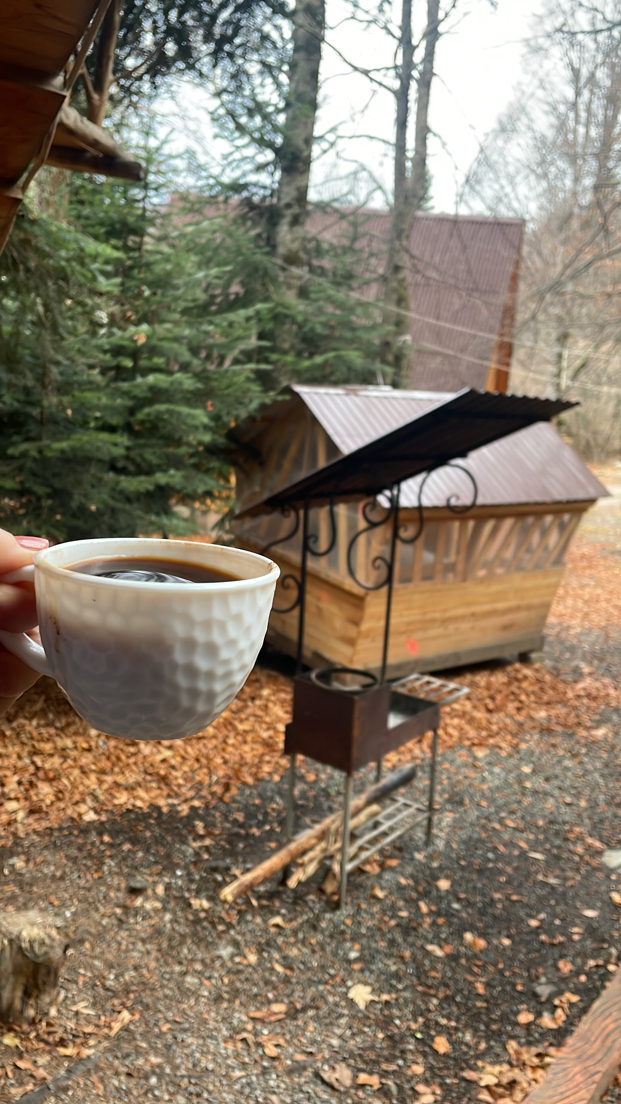 Фото Архыз Шале Хаус