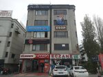 Beren Optics (İstanbul, Bakirkoy District, Yeşilköy Mah., Eski Londra Asfaltı Blv., 16), opticial store
