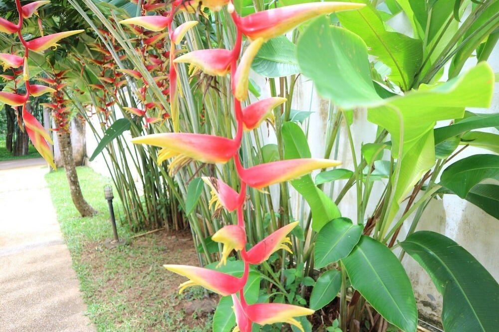 Фото Mountain Villa Aonang Krabi