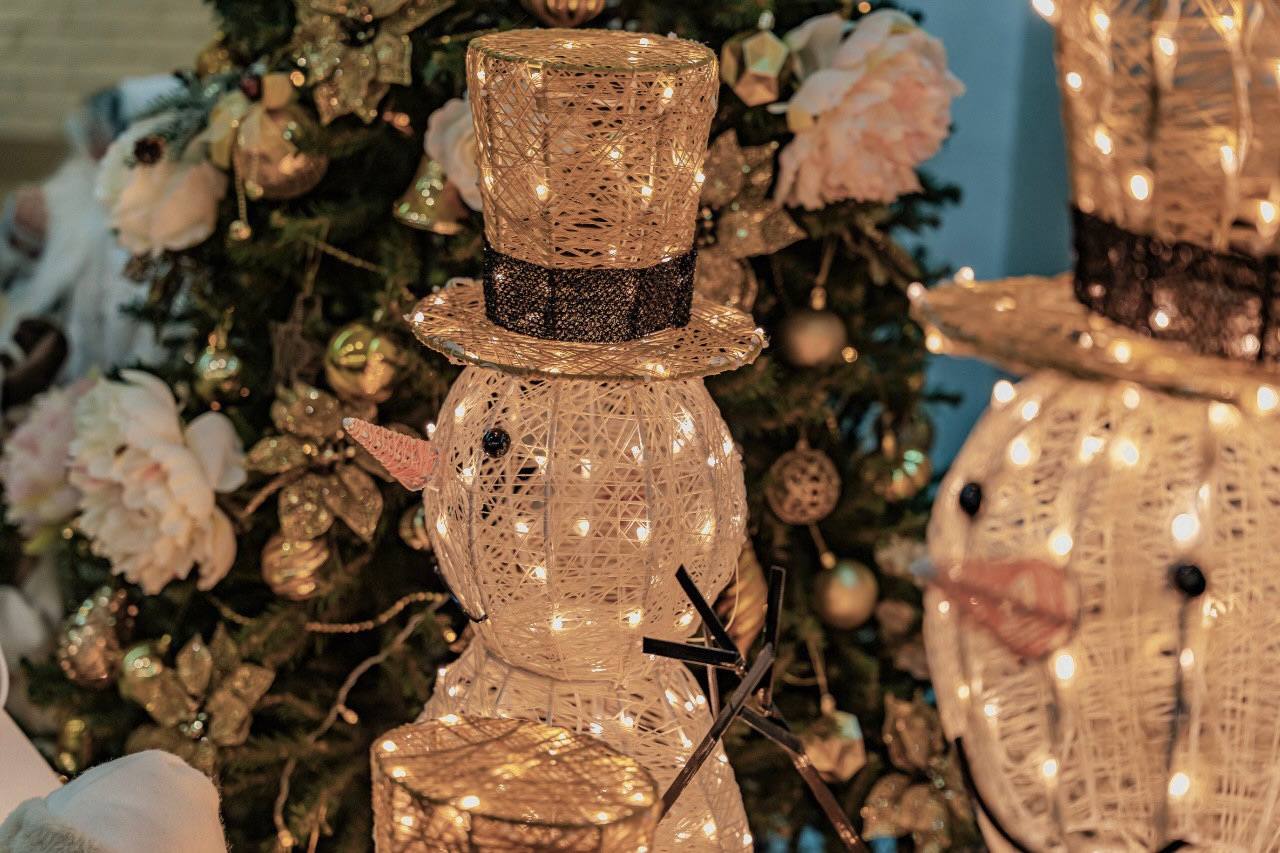 Фото Дипломат