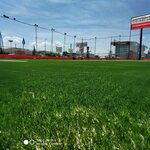 Alpay Carpet Field (Duzce, Düzce Merkez, D-100 Karayolu Avenue, 374), stadium