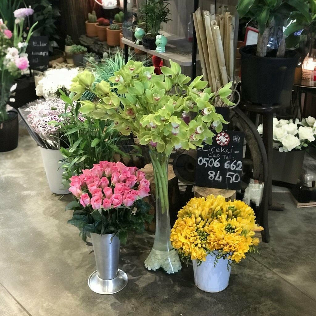 Flower shop Bilkent, Ankara, photo