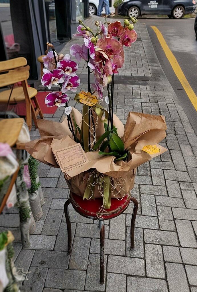 Flower shop Bartın Zerafet Çiçekçilik, Bartin, photo