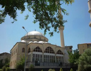 Central Mosque (Erzurum, Aziziye, Saltuklu Mah., Habib Baba Cad., 33A), mosque