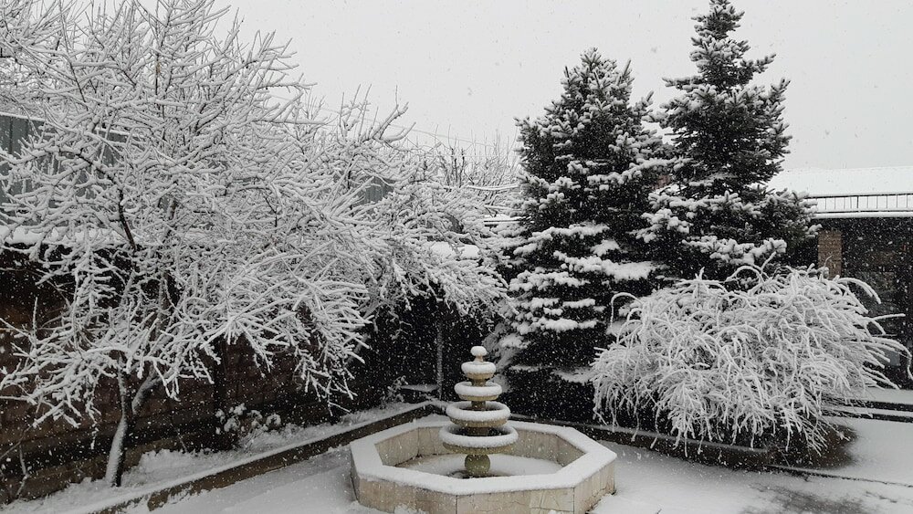 Фото Musa Ler Hotel Yerevan