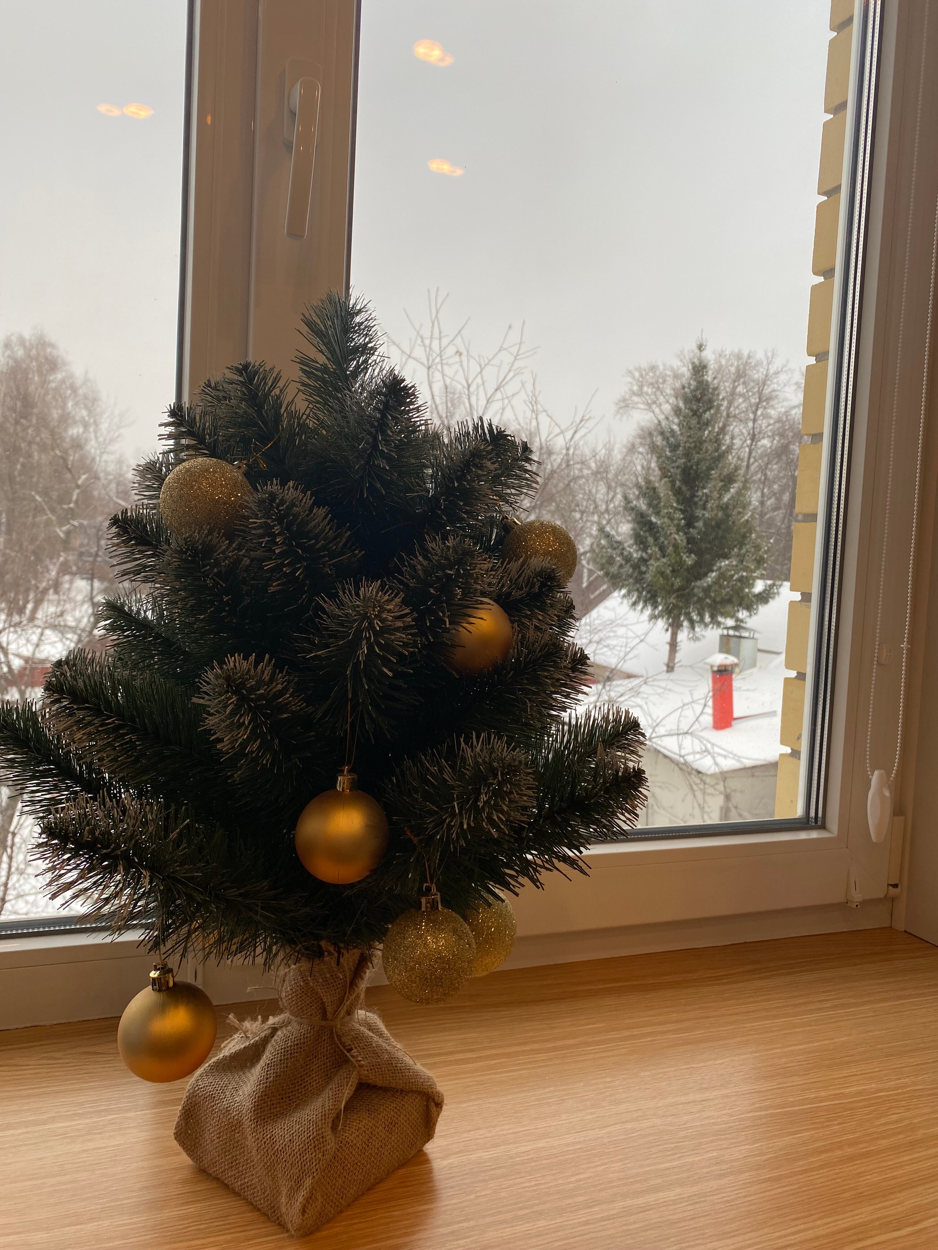 Фото Мансарда