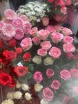 Цветы от Светланы (ulitsa Lenina, 14) ، محل زهور