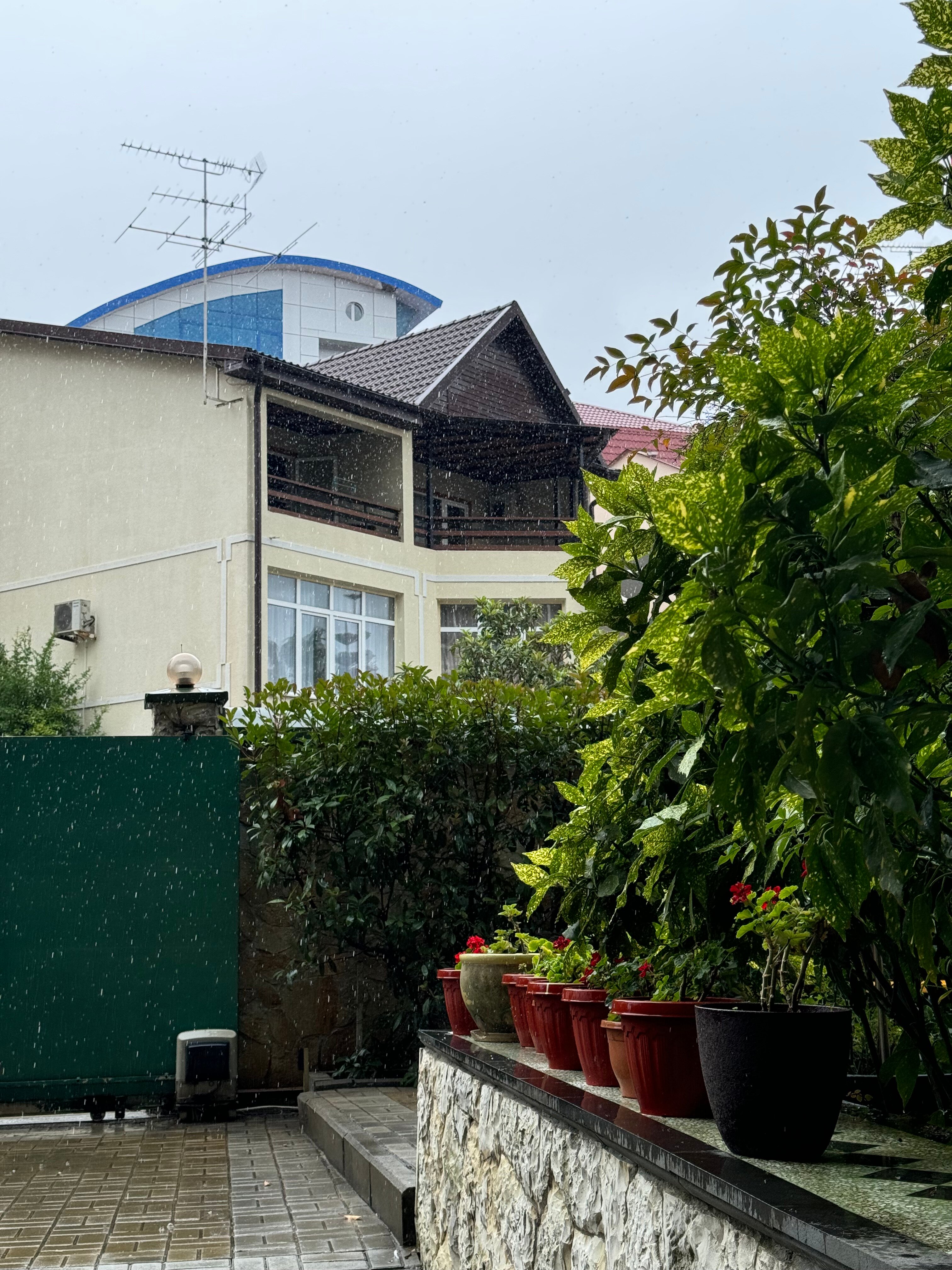 Фото Парадиз