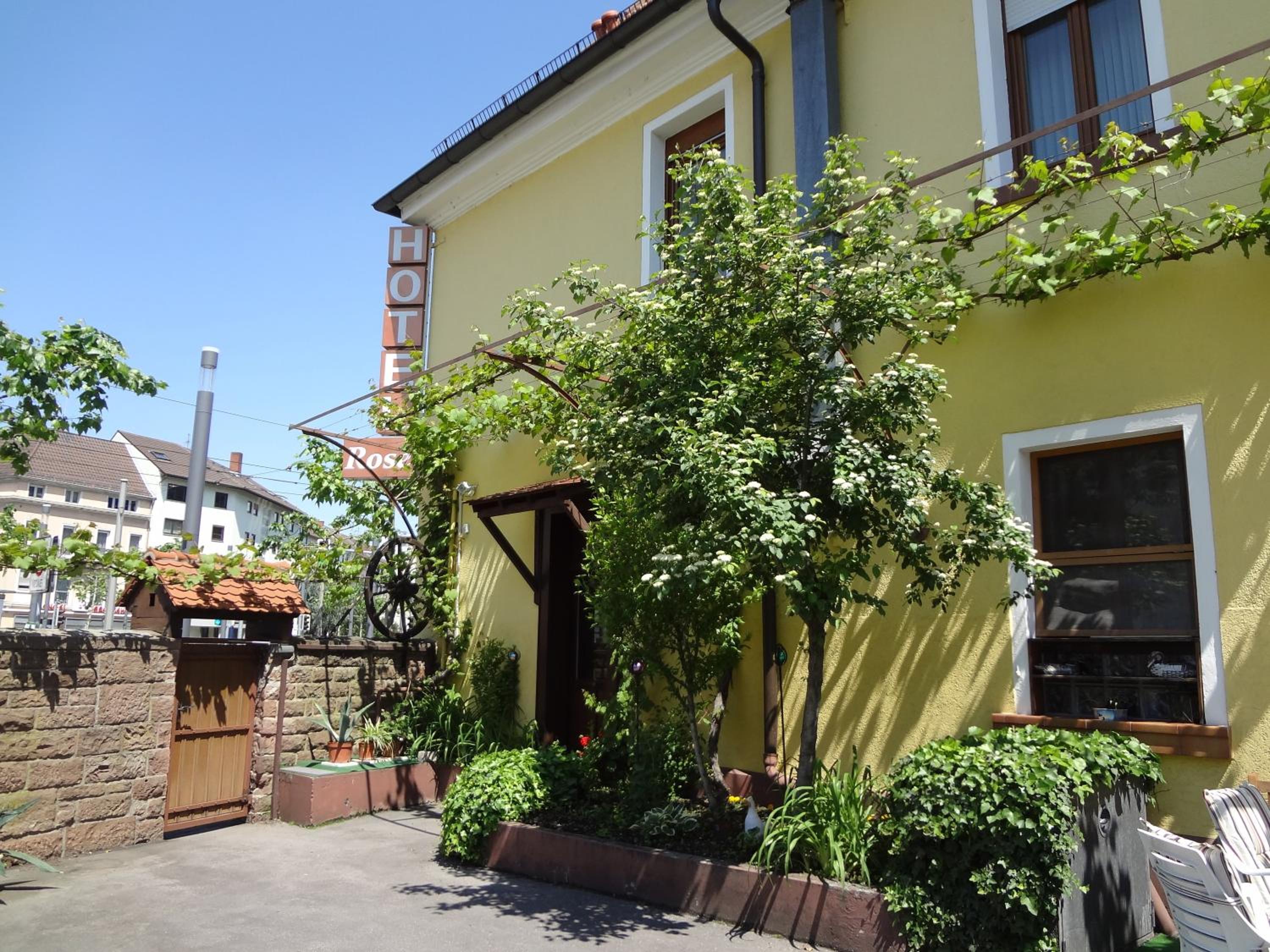 Фото Hotel Rose Heidelberg