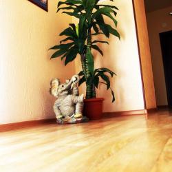 Фото Парк Отель