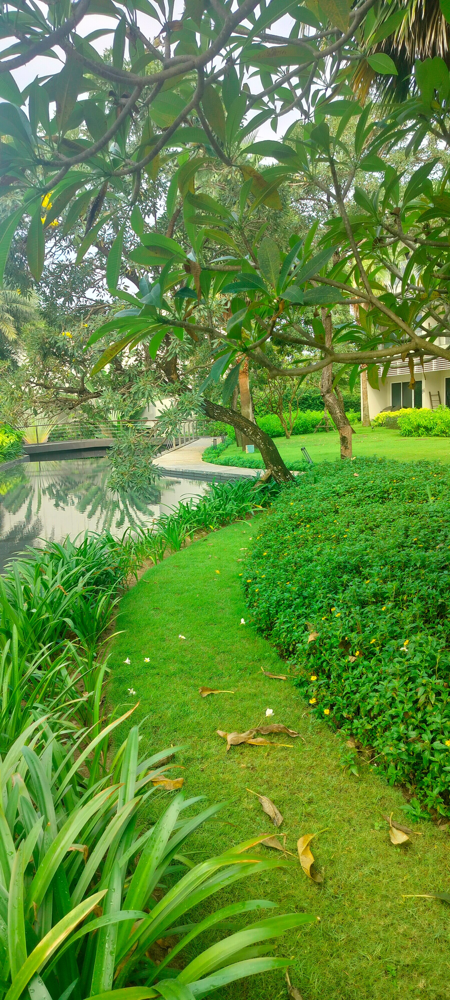 Фото Pullman Phu Quoc Beach Resort