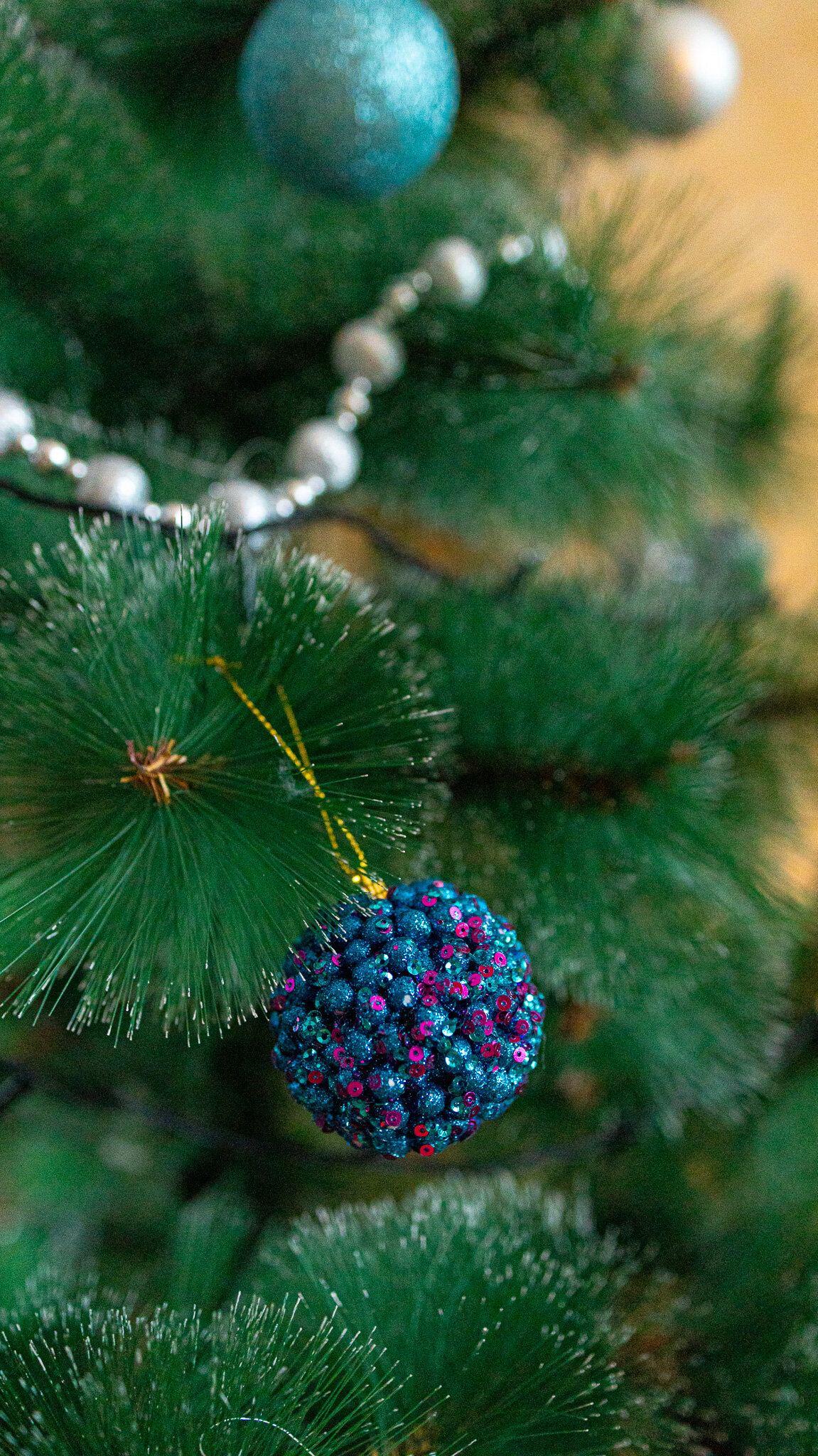 Фото Заостровье