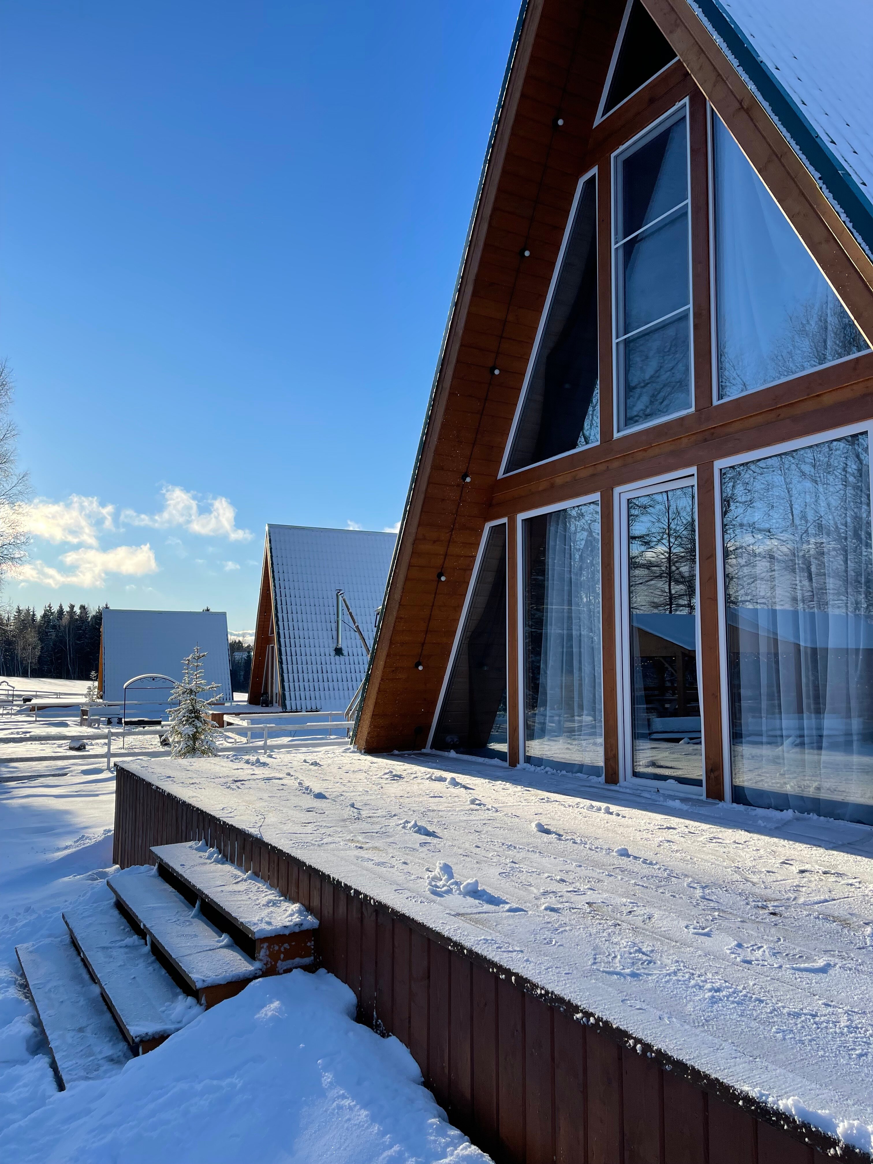 Фото В тишине