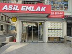 Asil Emlak (Izmir, Karabaglar District, Inonu Avenue, 833), real estate agency