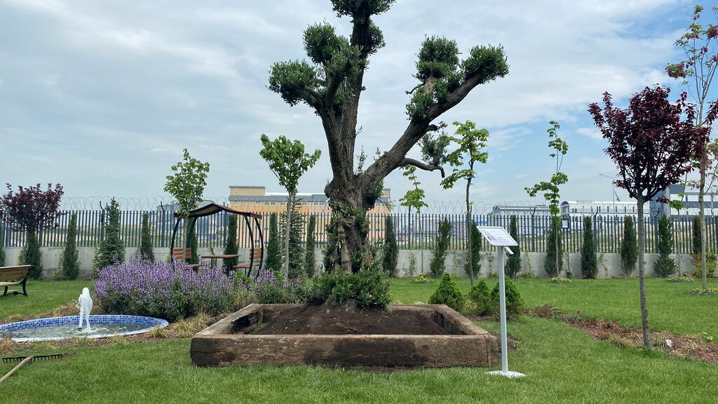 Otomasyon sistemleri firmaları Smc Türkiye, Arnavutköy, foto