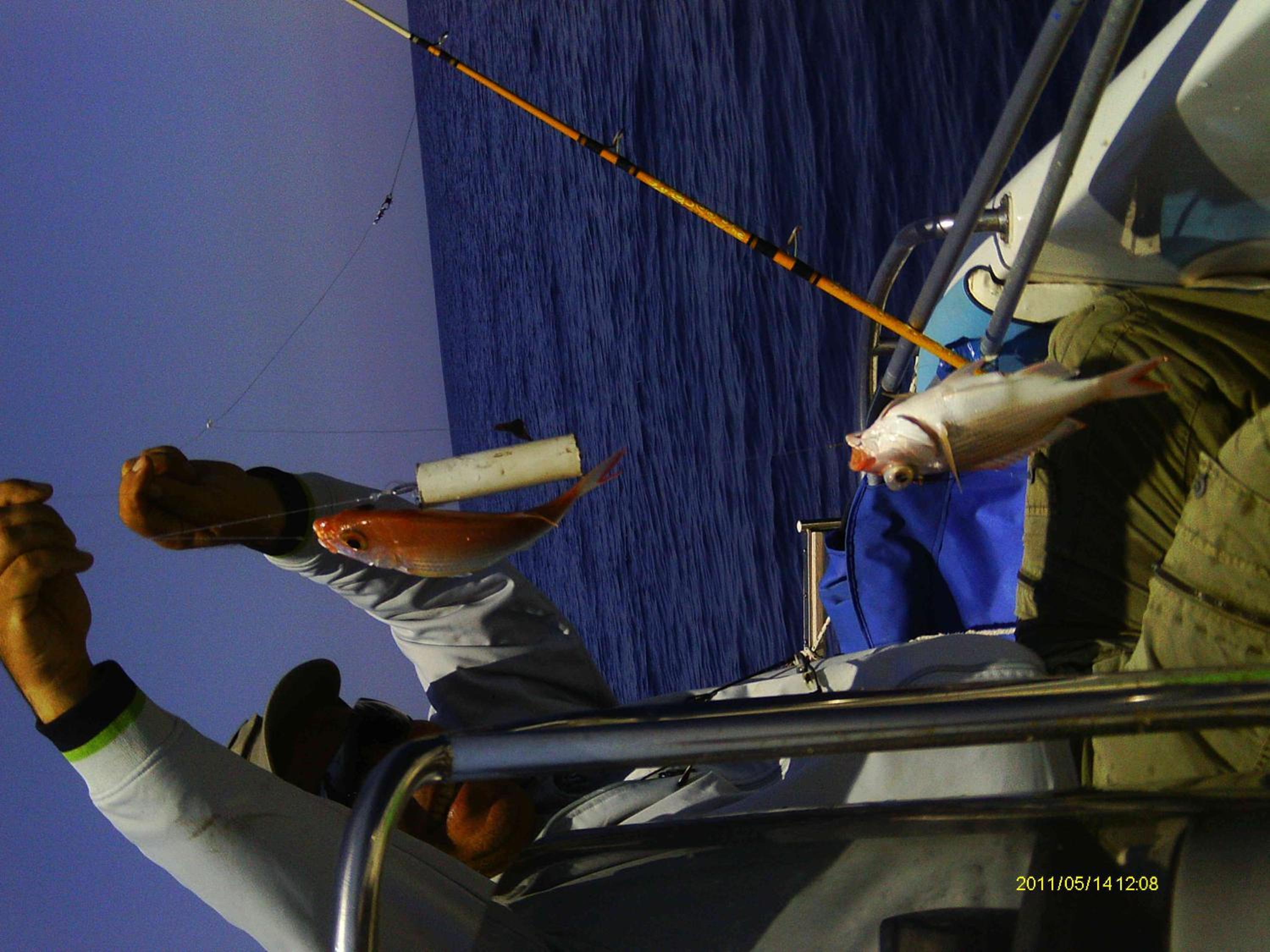 Фото Irinoula Dreams