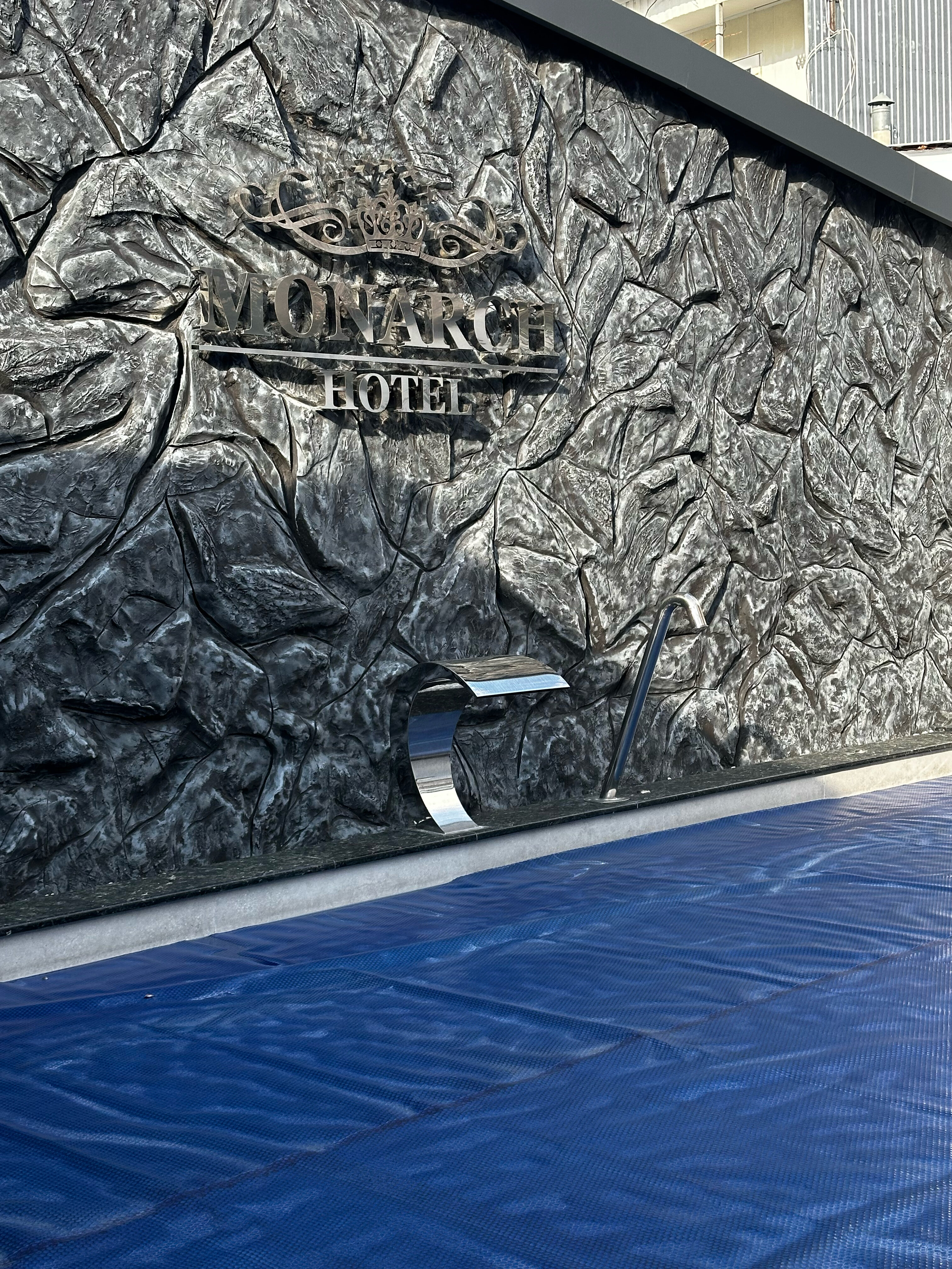 Фото Монарх