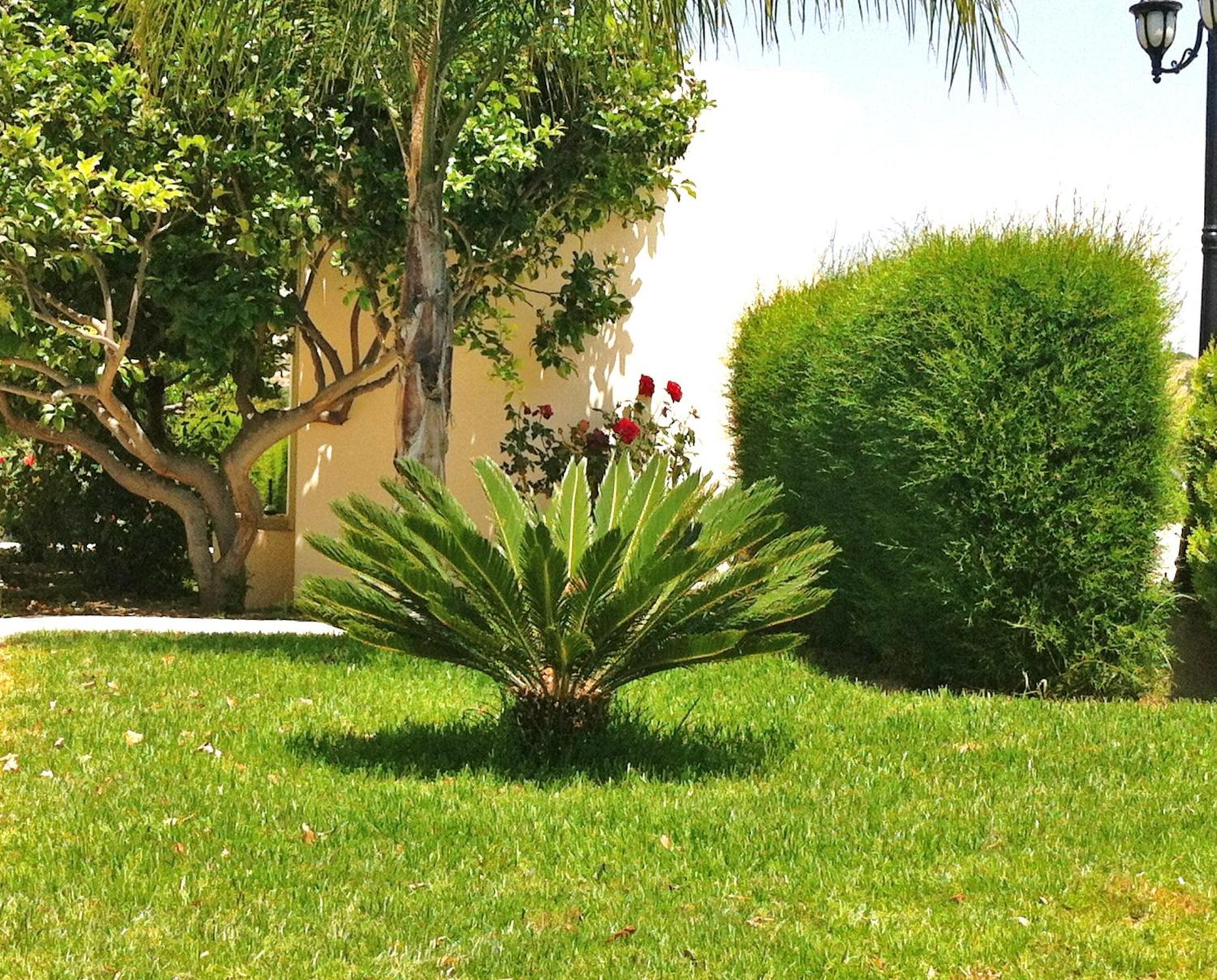 Фото Himonas Apartments