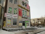 Sanjar Gold (Osıpenko kóshesi, 21), pawnshop