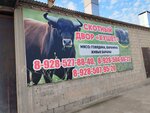 Скотный двор (4-ya Grazhdanskaya ulitsa, 70), intensive animal farming