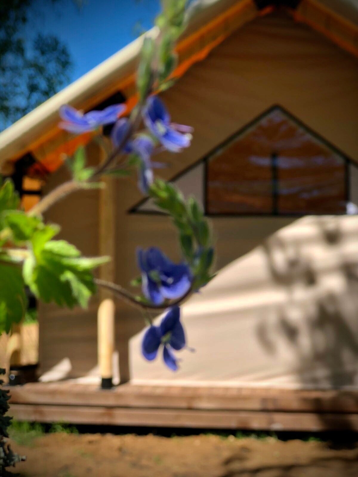 Фото Серебряный ключ