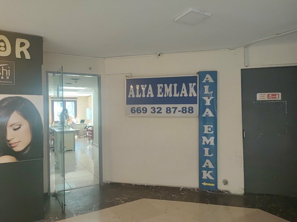Real estate agency Alya Emlak, Istanbul, photo