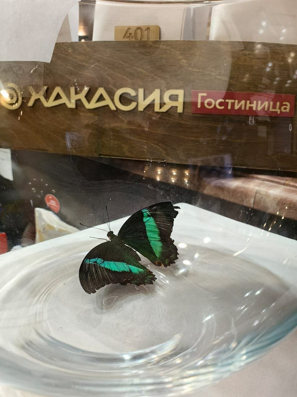 Фото Хакасия