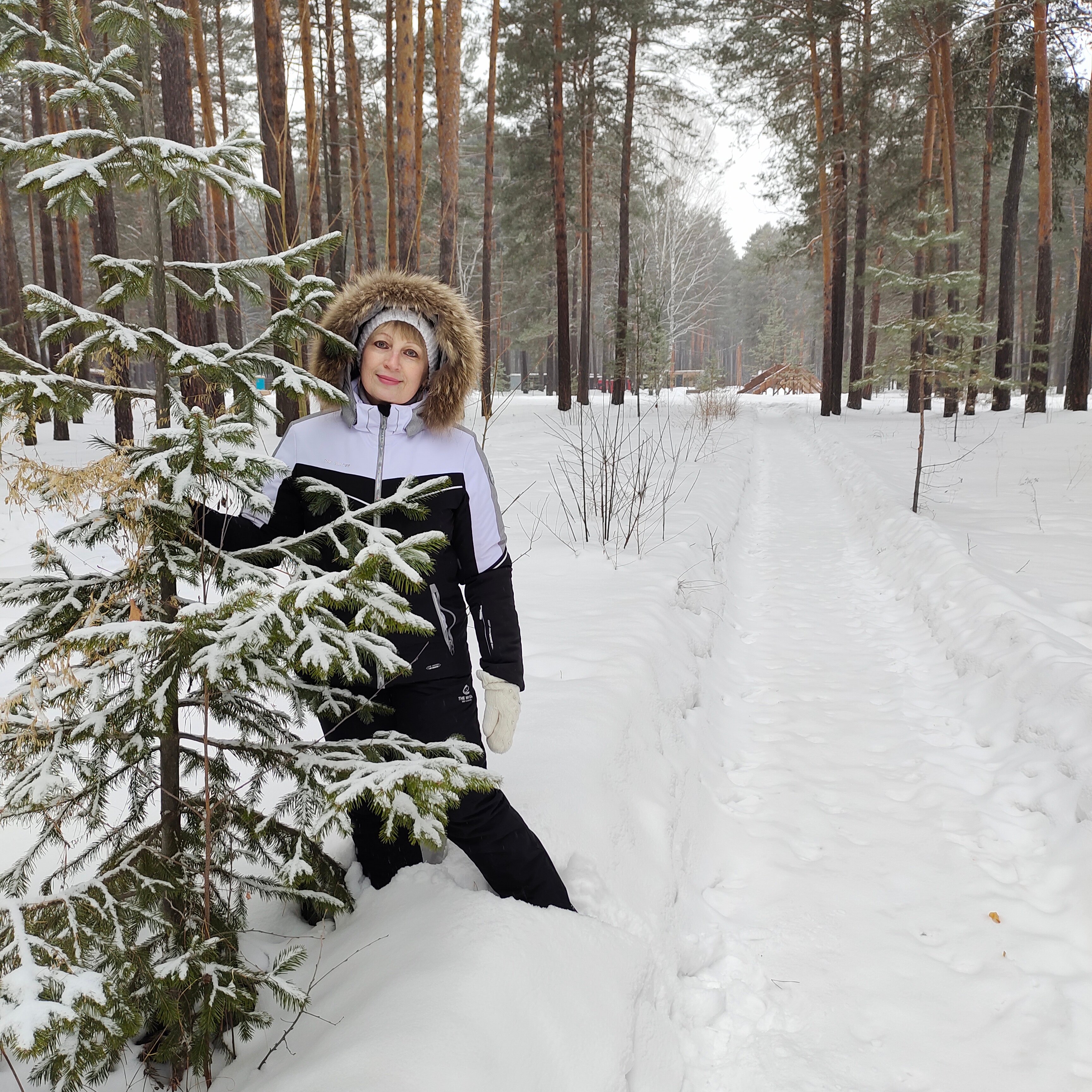 Фото Мишкины Шишки