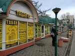 Табак 24 (Slavy Avenue, 12), vape shop