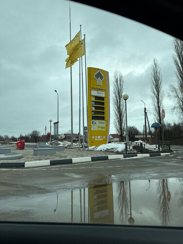 Gas station Rosneft, Lipetsk Oblast, photo
