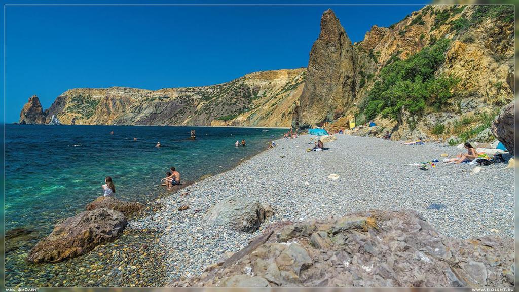 Фото Фиолентовский