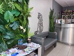Pet wellness центр (Zaporozhskaya ulitsa, 57), veterinary clinic