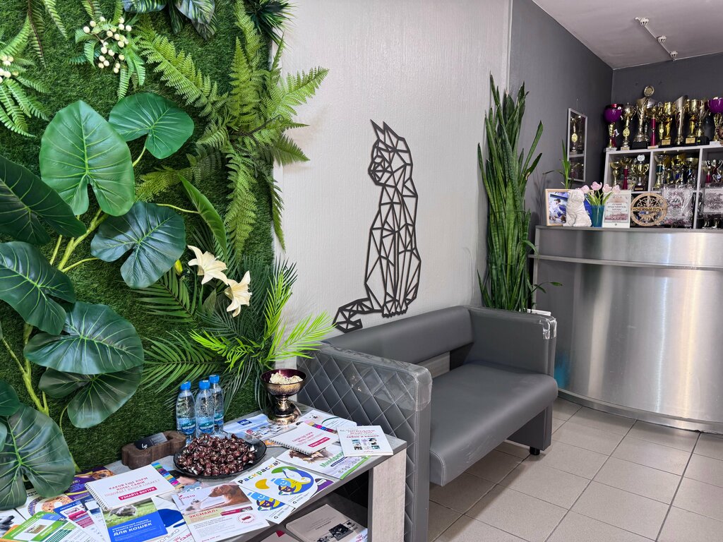 Veterinary clinic Pet wellness центр, Novokuznetsk, photo