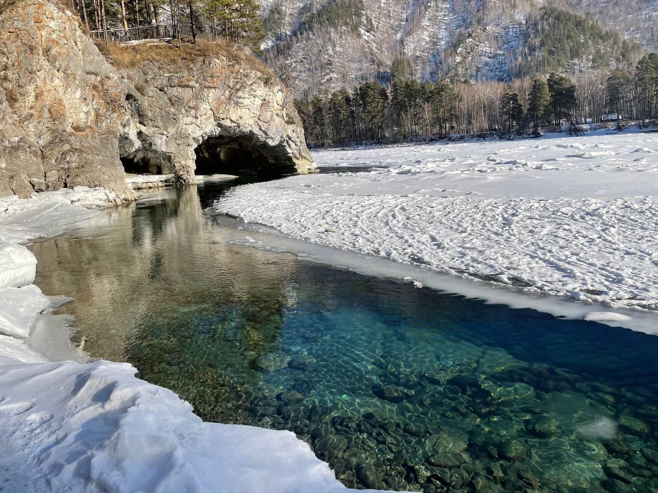 Фото Дикий Еж