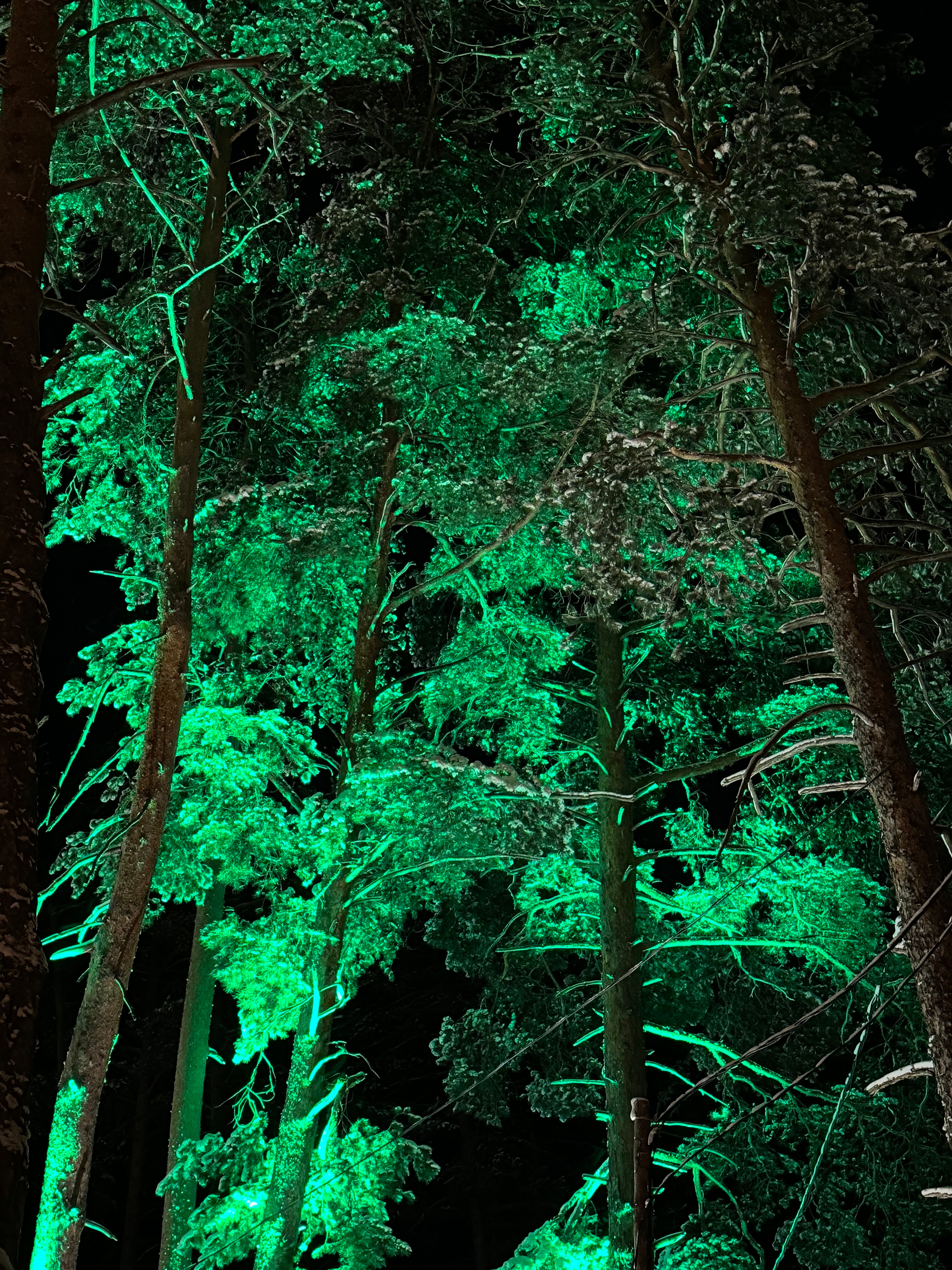 Фото Эко Хаус