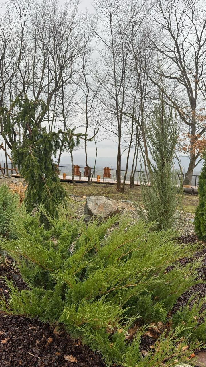 Фото Тайна Гор