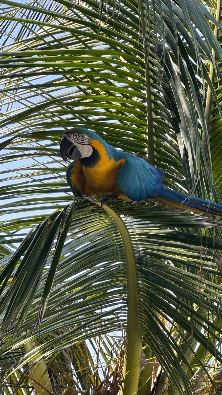 Фото Ranthari Hotel and SPA Ukulhas Maldives