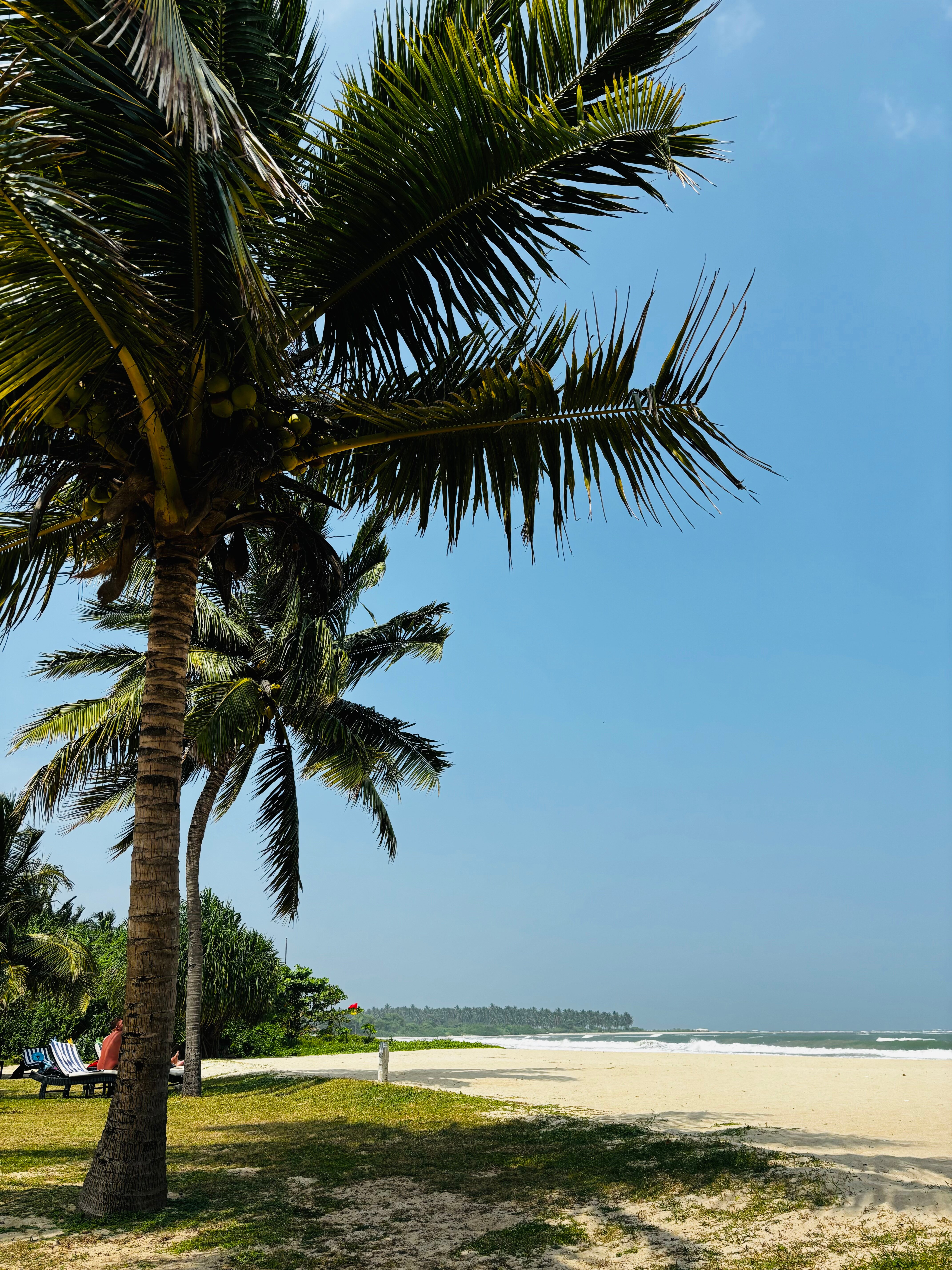 Фото Maalu Maalu Resort & SPA Pasikuda