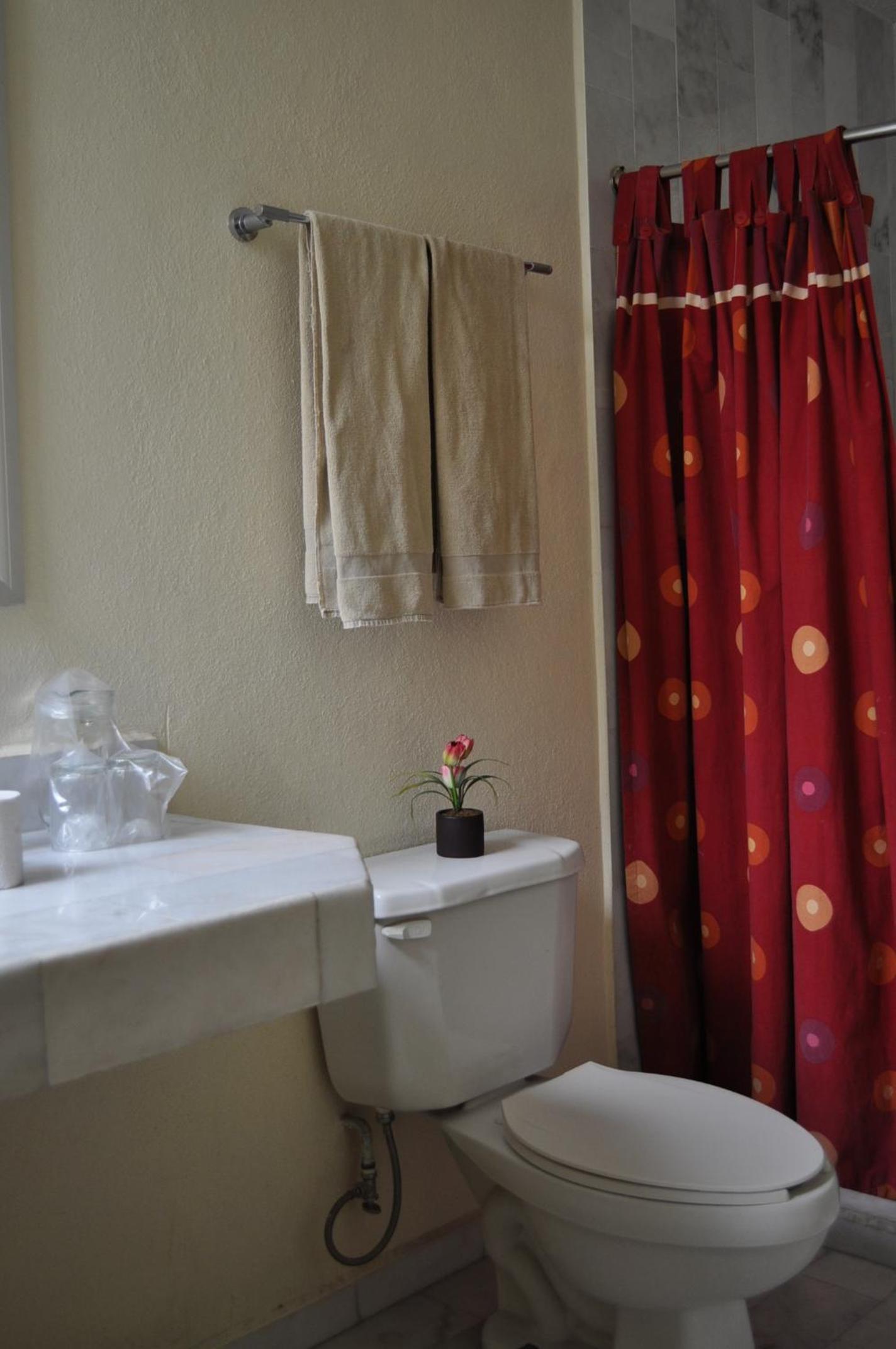 Фото Hotel Flamingo Kristal