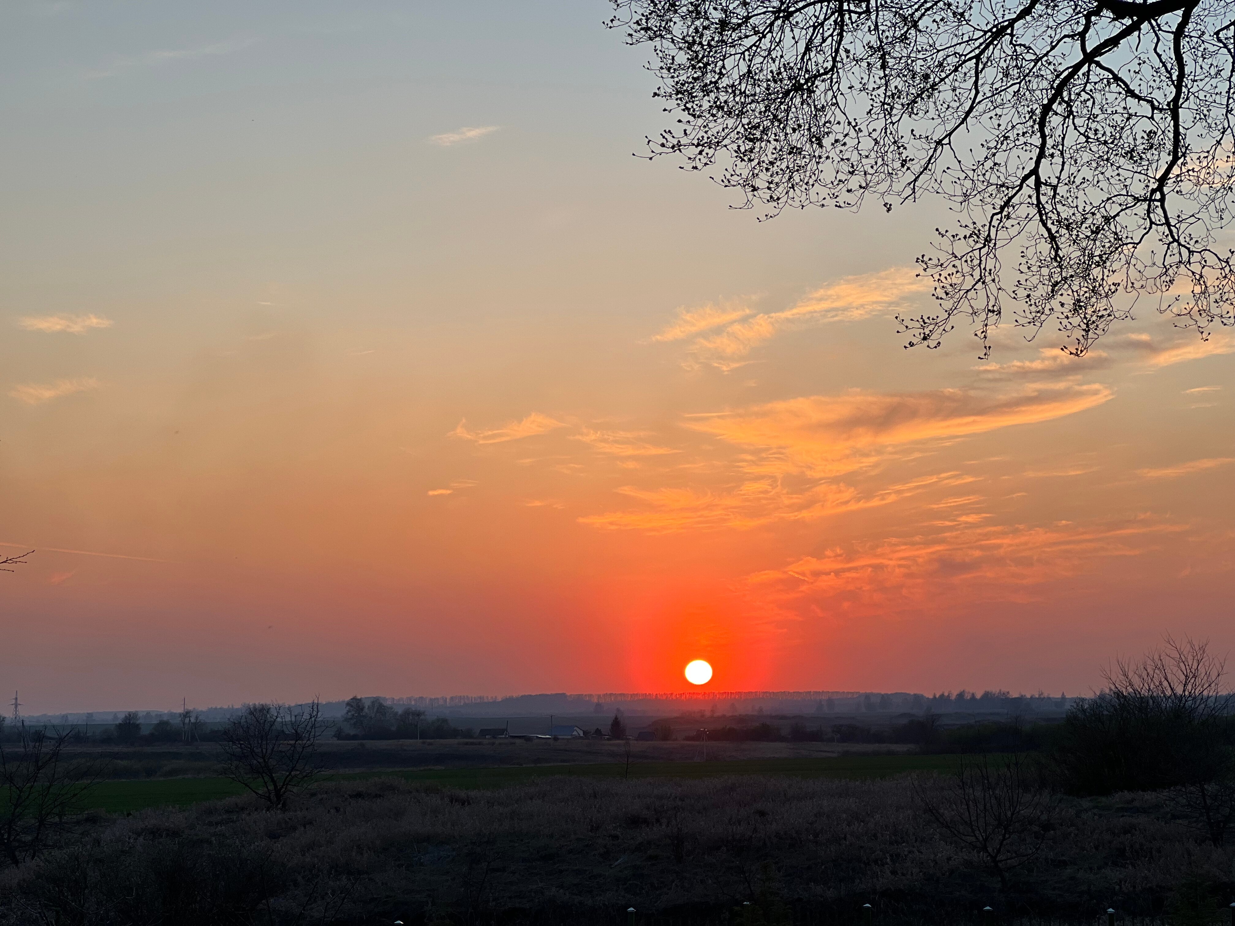 Фото Золотой город