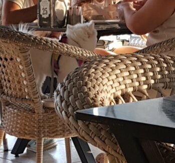 Cafe Omur Pide Kebap Salonu, Cesme, photo