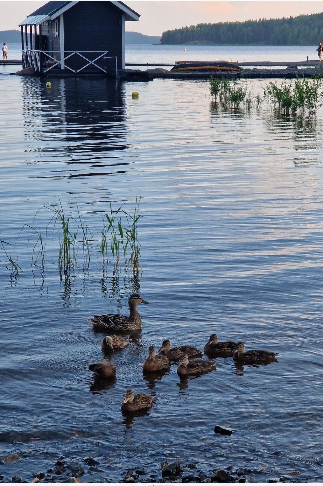Фото Времена Года
