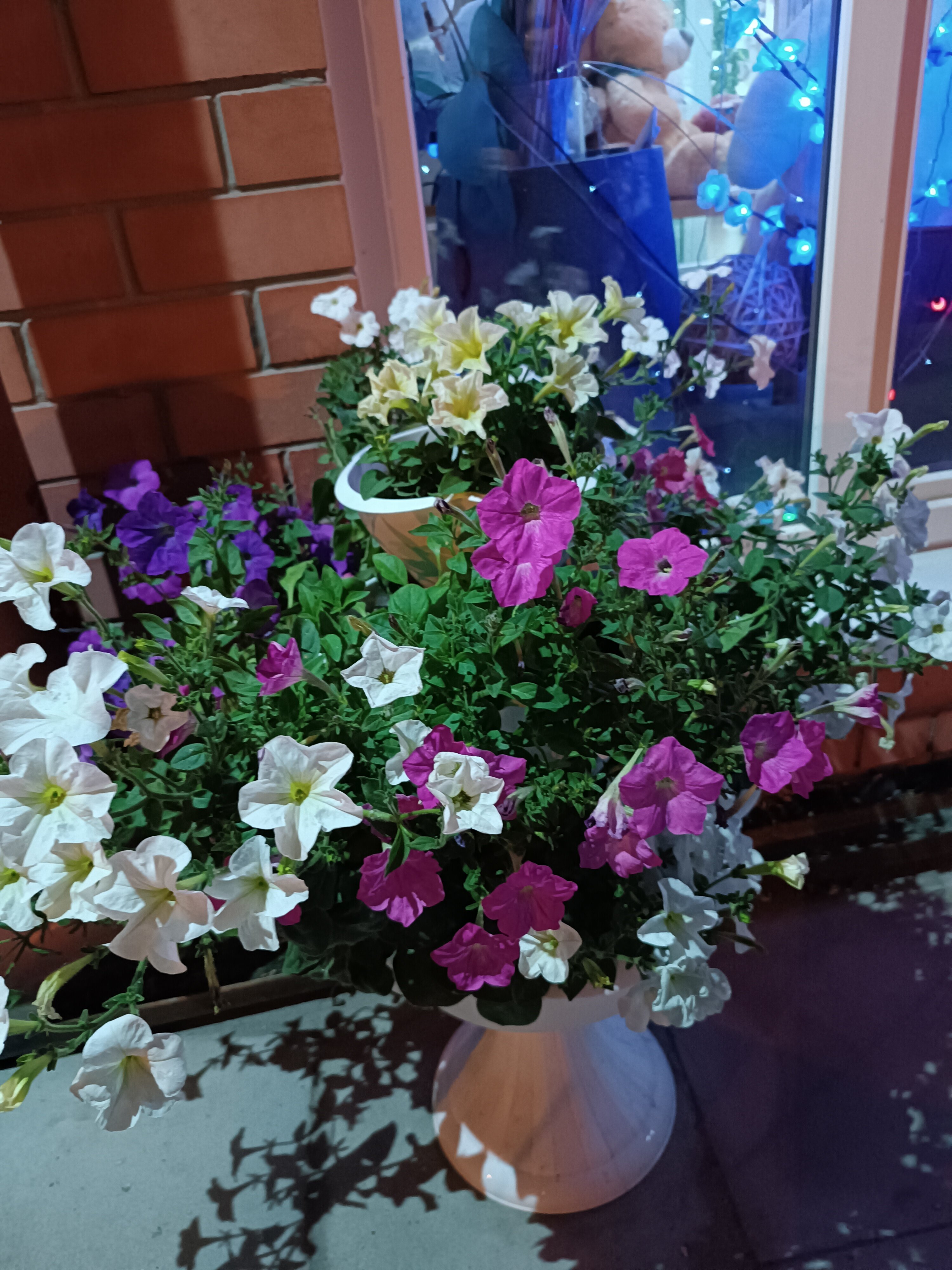 Фото Урарту