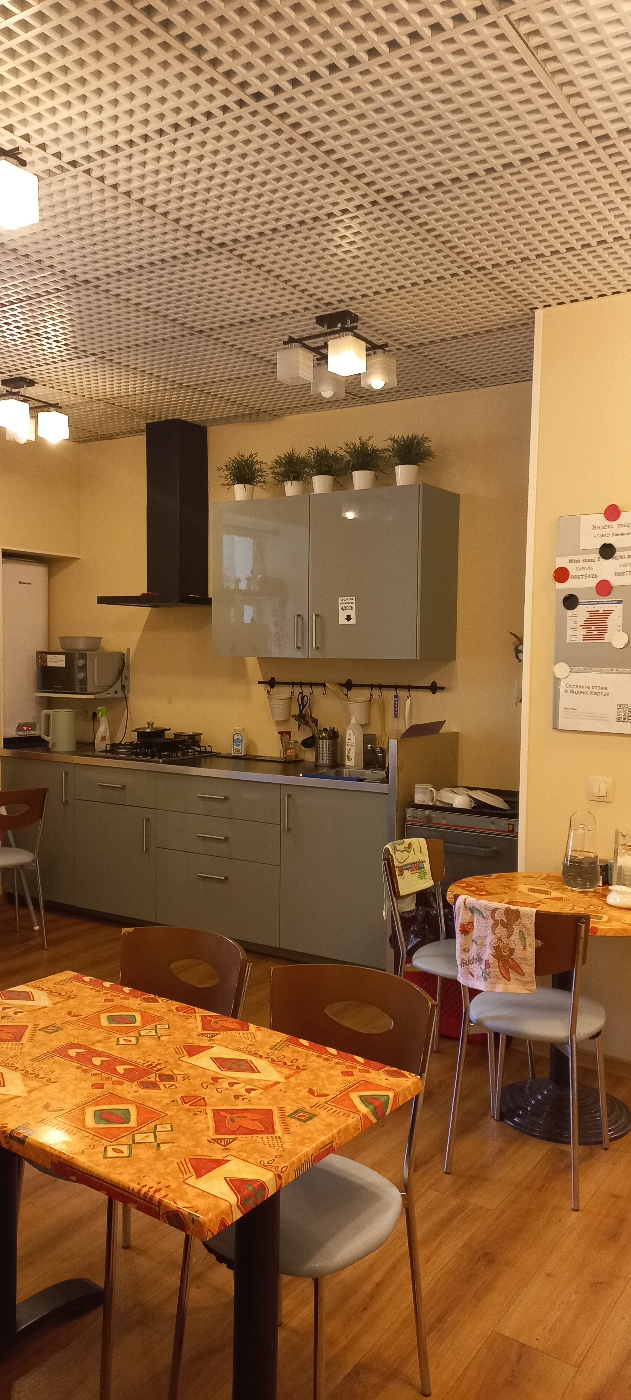 Фото Мини Мани