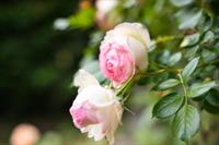 Фото The Originals Boutique, Hôtel Terminus