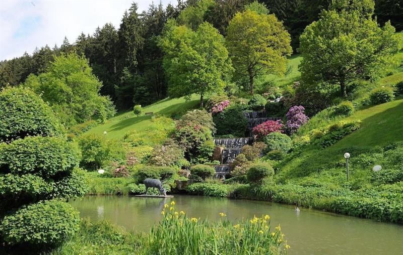 Фото Hotel Therme Bad Teinach