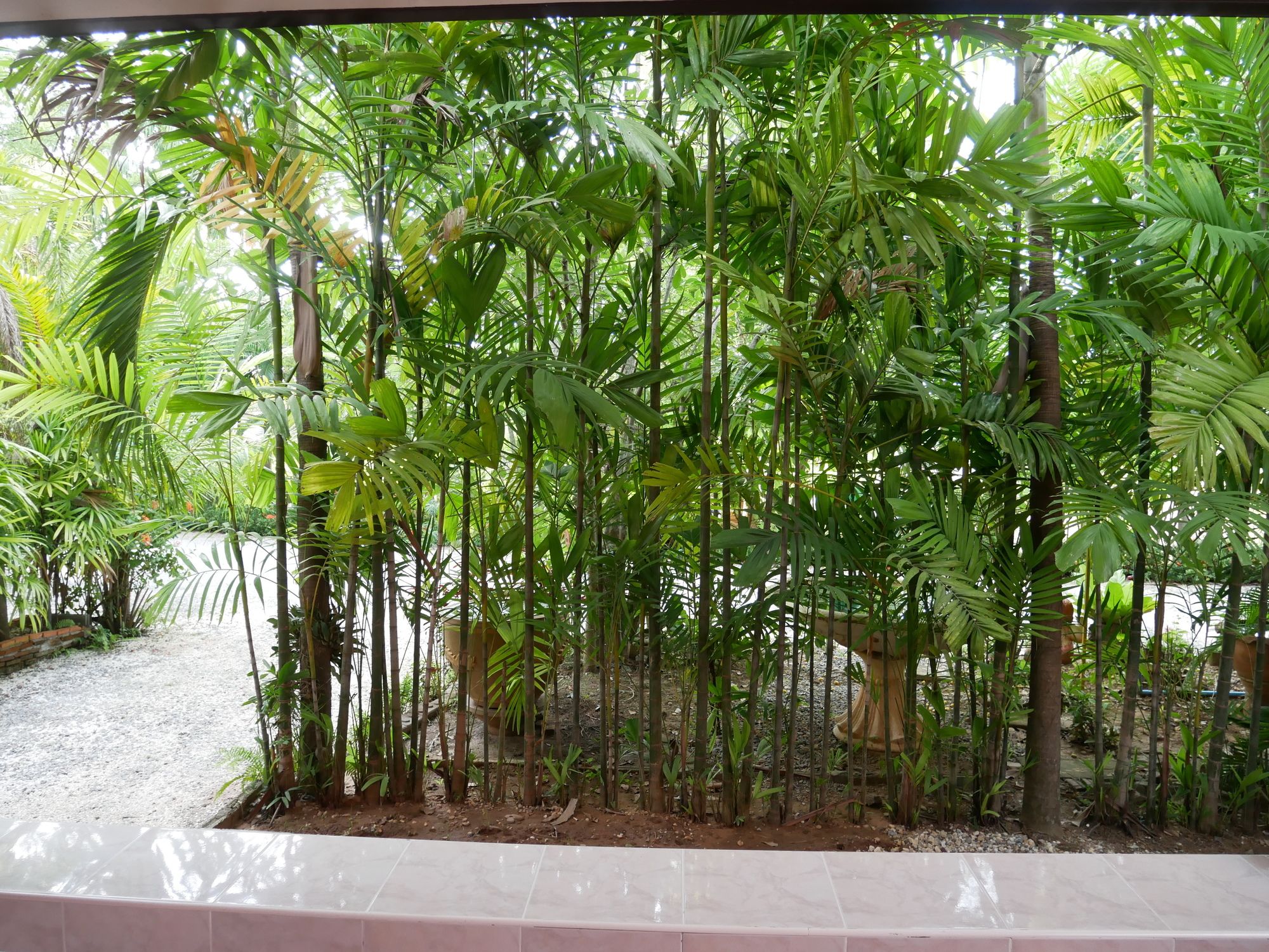 Фото Baan Suan Palm Resort